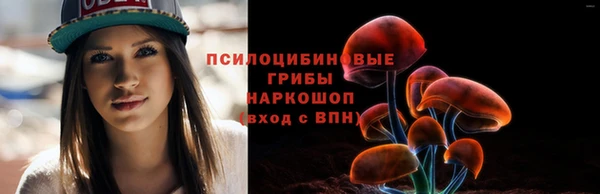 амф Алексин