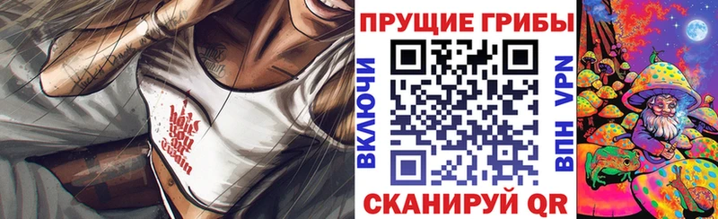 kraken вход  купить наркоту  Новороссийск  Галлюциногенные грибы GOLDEN TEACHER 