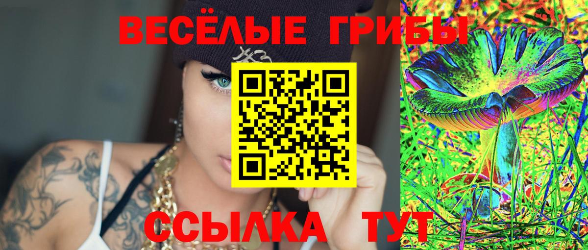 Псилоцибиновые грибы прущие грибы Новороссийск
