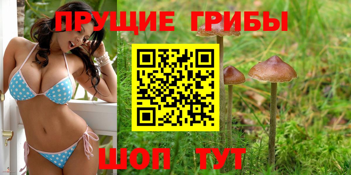 Галлюциногенные грибы GOLDEN TEACHER  Галлюциногенные грибы Cubensis  Новороссийск  Вход с VPN 