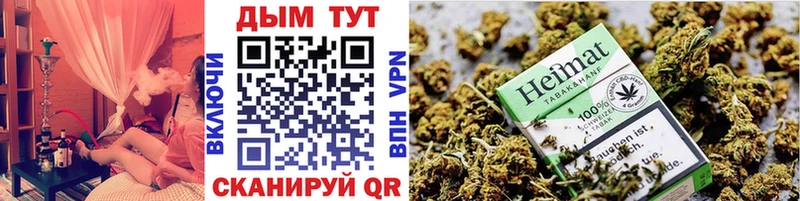 МАРИХУАНА OG Kush  где можно купить наркотик  Новороссийск 